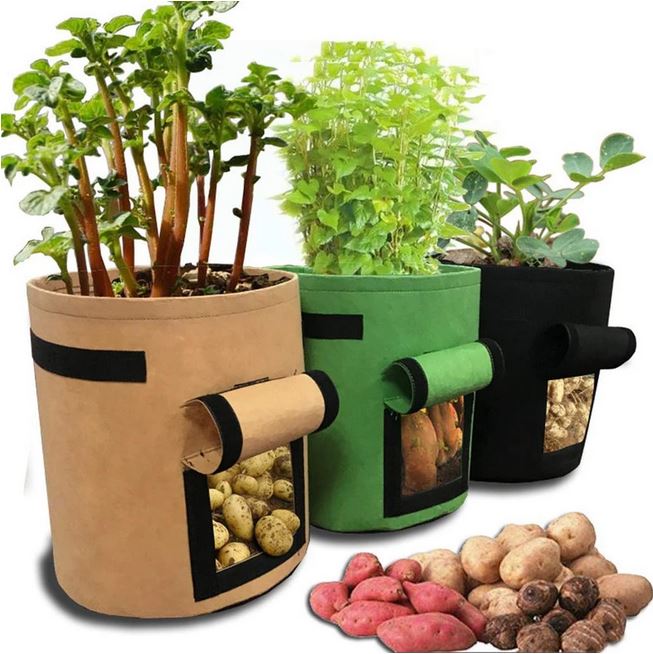 Discover Grow Bags: An Alternative Plant Container