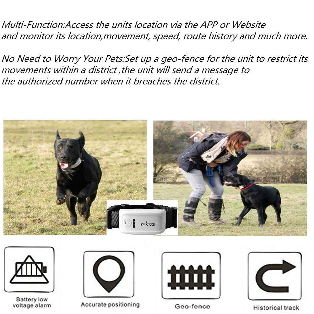 Pet GPS Tracker For Dog/Cat | Global Locator Real Time GPS Collar | Tracking #NE1205 - GadgetSourceUSA